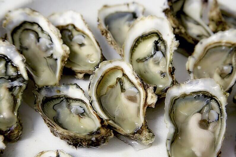 Oysters from the Arcachon basin