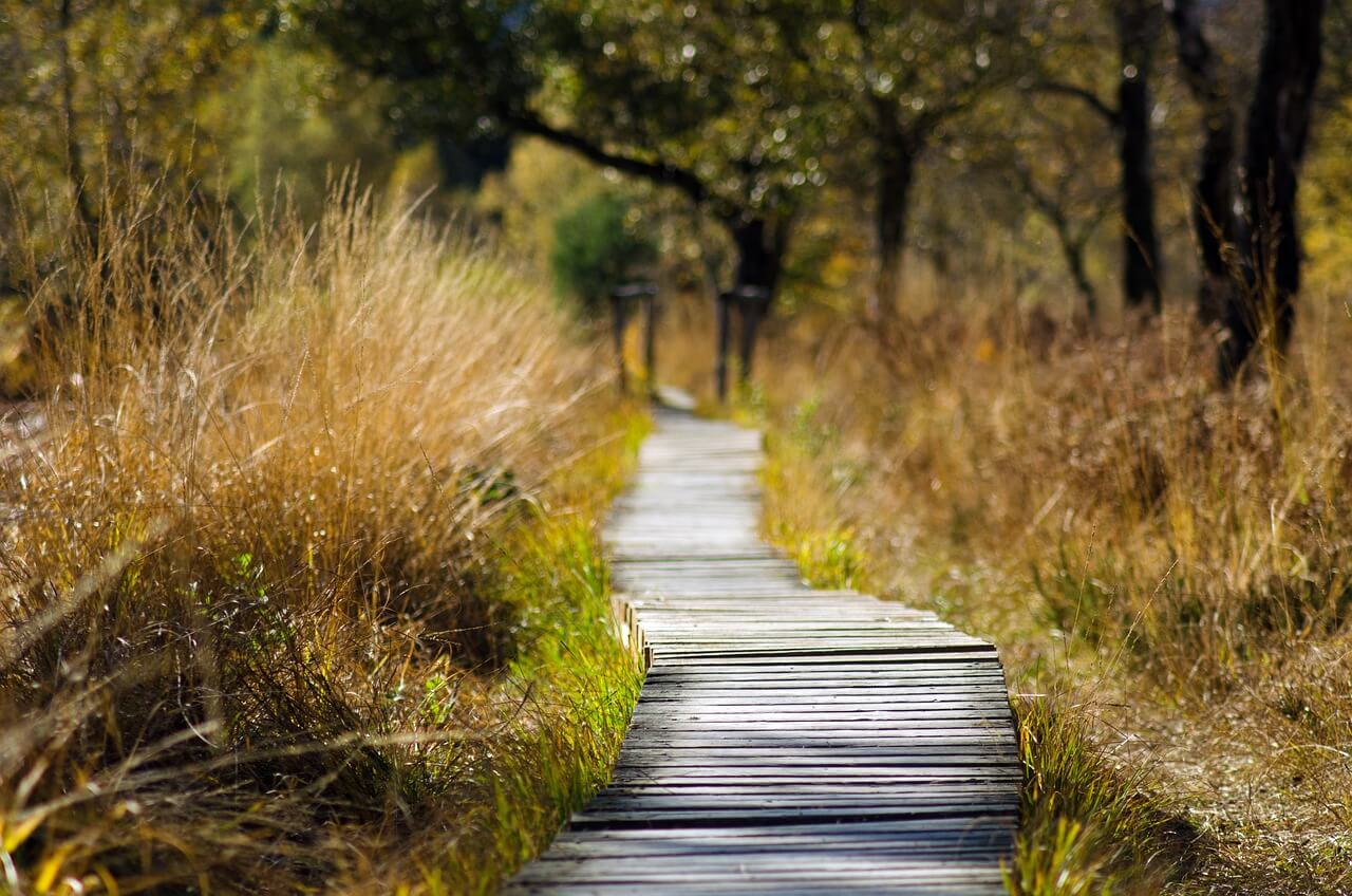 Les espaces naturels sensibles de la Gironde