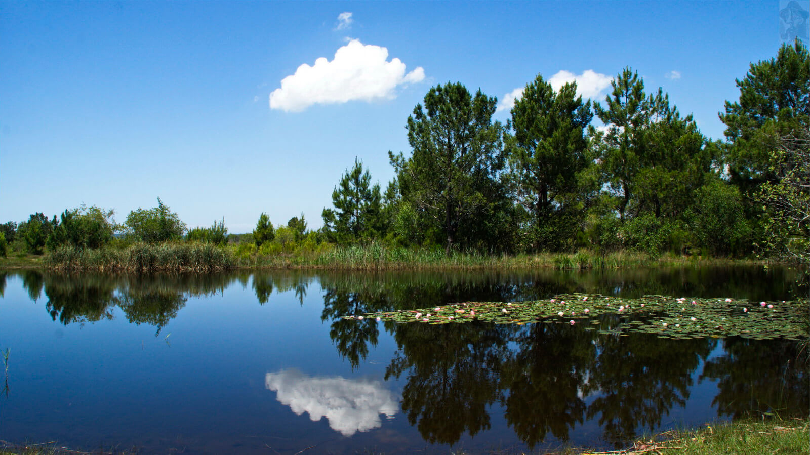 Lac de Carcans, Hourtin