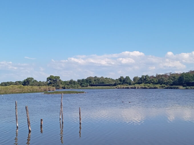 Maison de la Nature du Bassin d’Arcachon