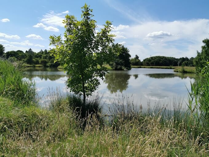 Parc Floral de Bordeaux