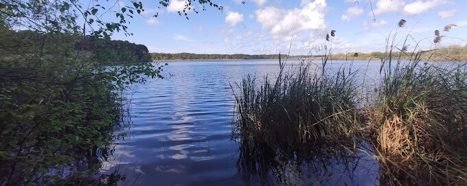 Réserve naturelle de l’étang de Cousseau