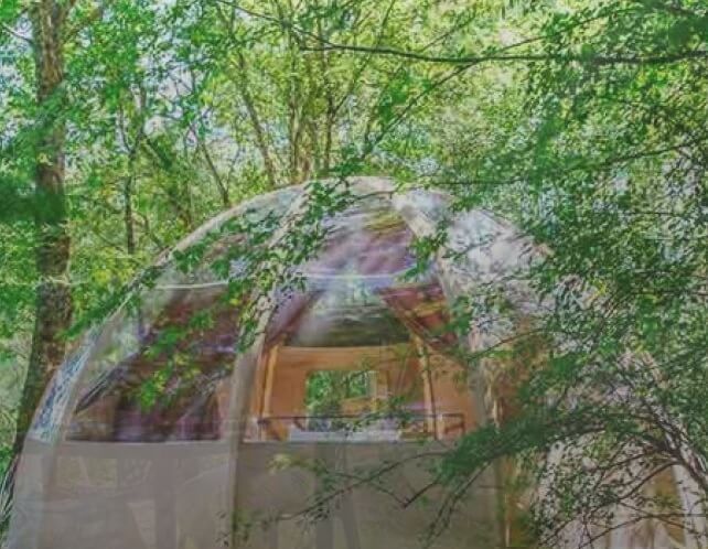 Domaine EcÔtelia, Cabane dans les arbres et hébergements insolites